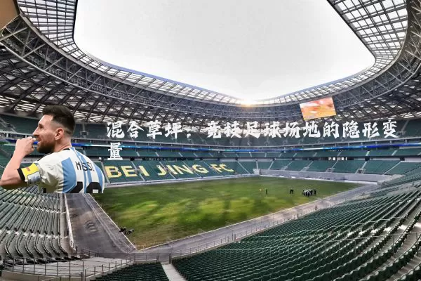 混合草坪：竞技足球场地的隐形变量