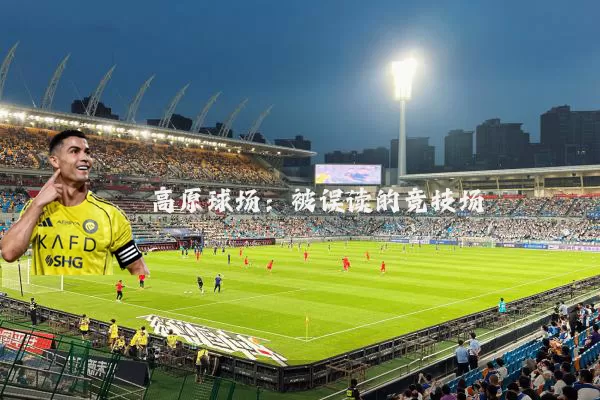 高原球场：被误读的竞技场