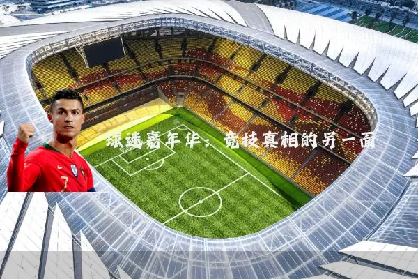 球迷嘉年华：竞技真相的另一面